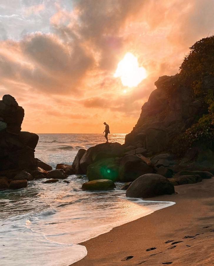 Casa Bambu Tayrona, Los Naranjos Kültér fotó